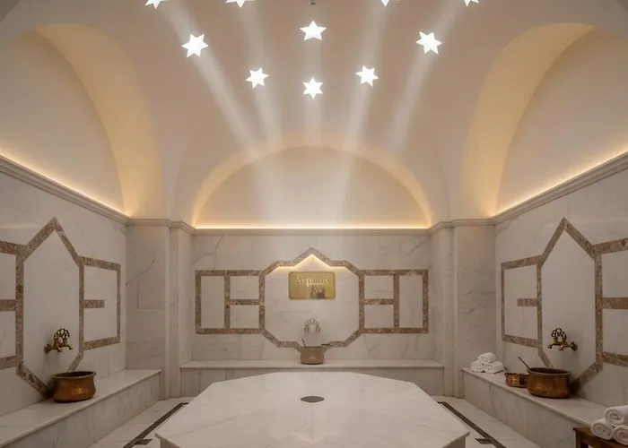 Apartahotel Artemis Luxury Palace 5*