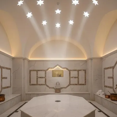 Apart-hotel Artemis Luxury Palace 5*