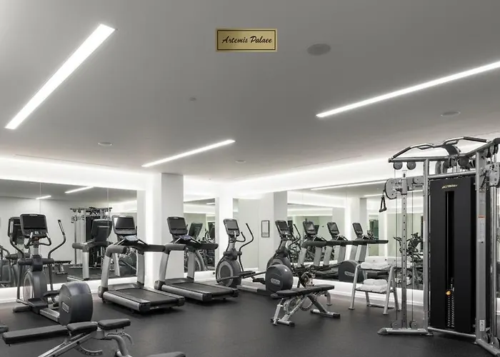 公寓式酒店 Artemis Luxury Palace 5*